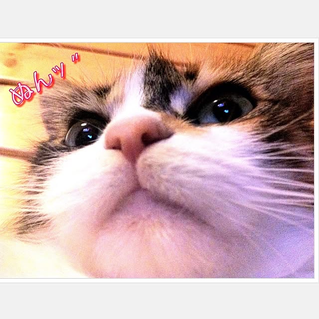 Realiser_son_reveさんの実例写真