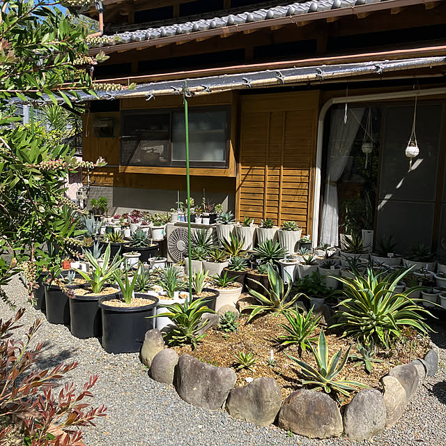 koshiregutyoさんの実例写真