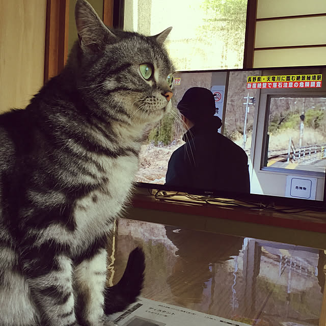 richanさんの実例写真