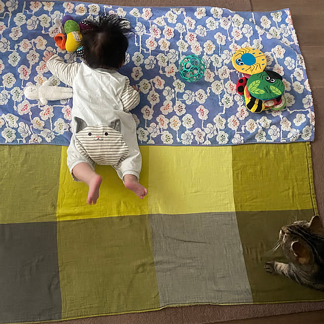 mikomaruさんの実例写真