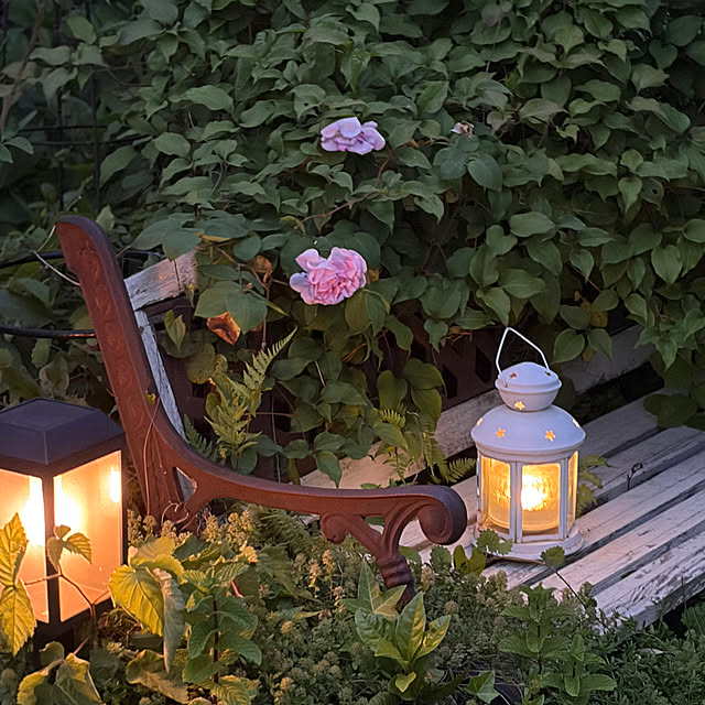 mintteaさんの部屋
