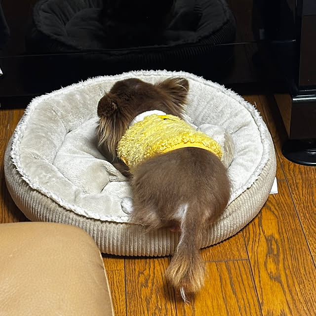 chIoeさんの部屋