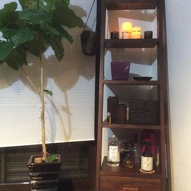 棚/観葉植物/IKEA/照明のインテリア実例 - 2016-10-13 17:48:31
