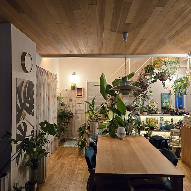 nonbiri_house_さんの部屋