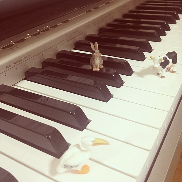 Marieさんの実例写真