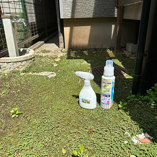 mieさんの実例写真