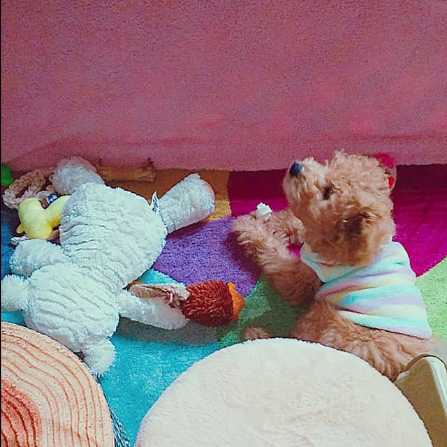 cherrycherryさんの実例写真