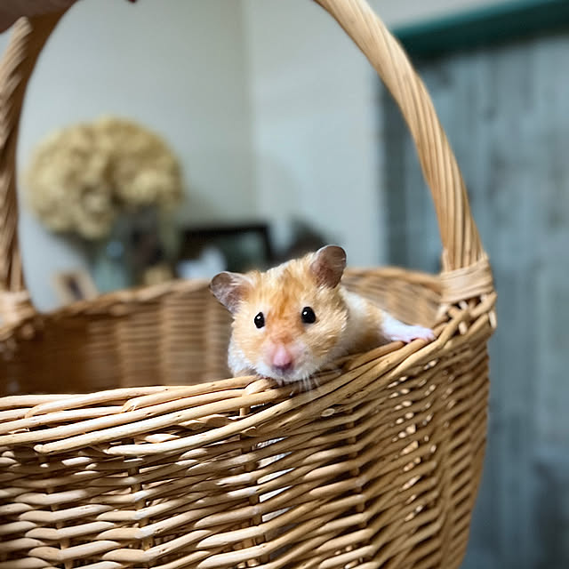 emiさんの部屋