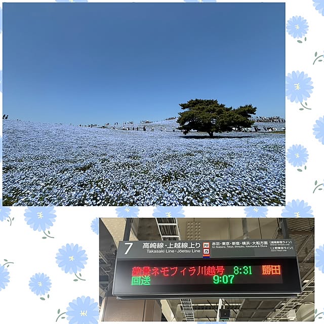 実例写真