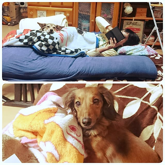 andさんの実例写真