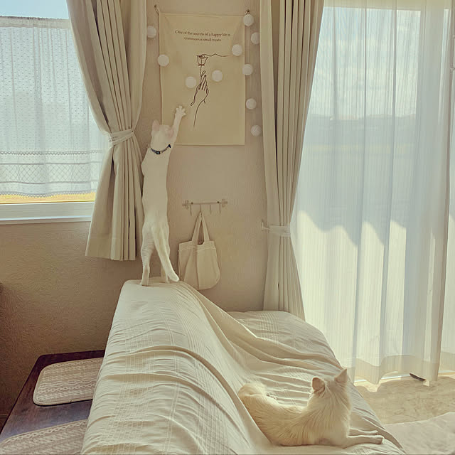 cocoさんの実例写真