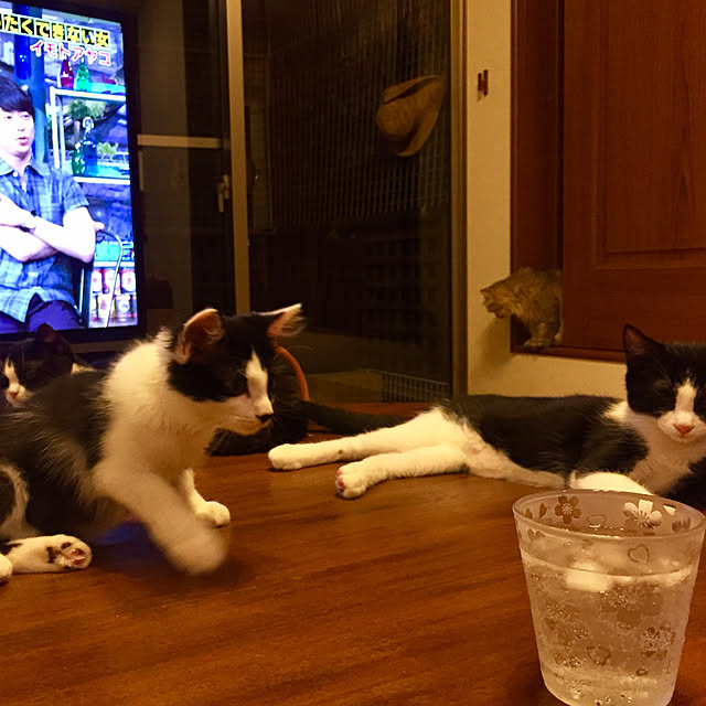 butachanさんの実例写真