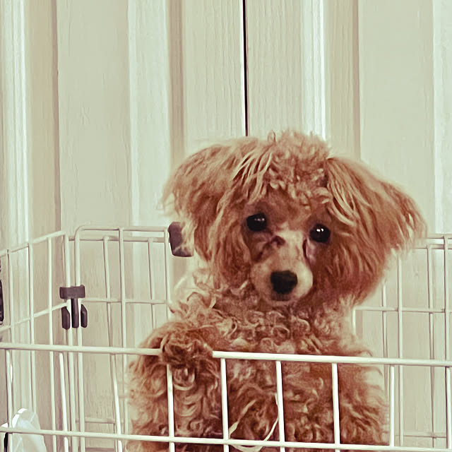 AYUKOさんの実例写真