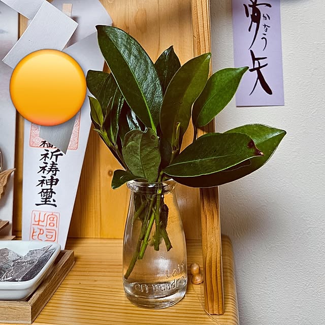 mocomocoさんの部屋