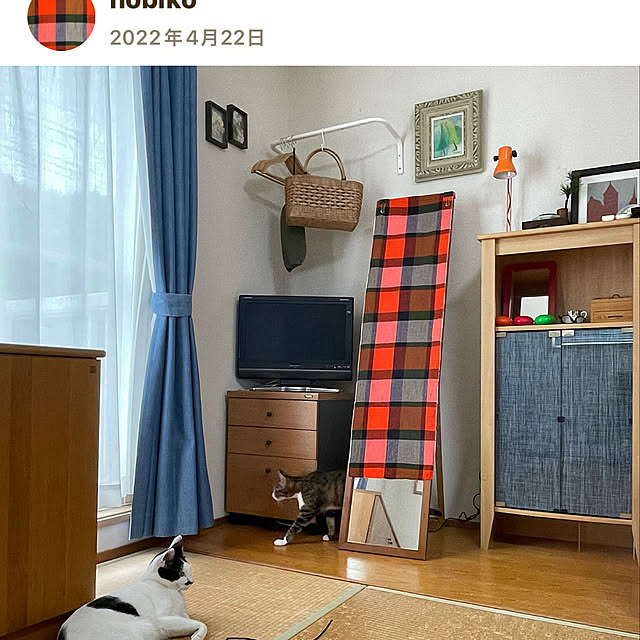 nobikoさんの部屋