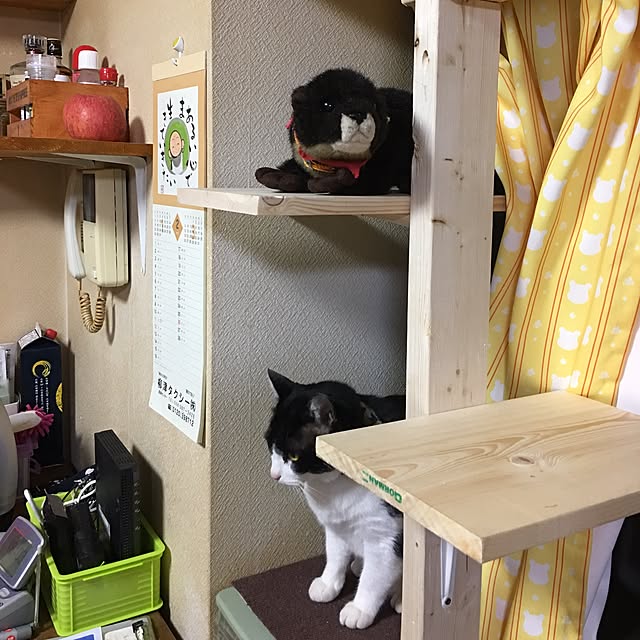 kmakkyiさんの実例写真