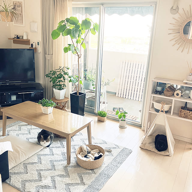nekomiさんの部屋