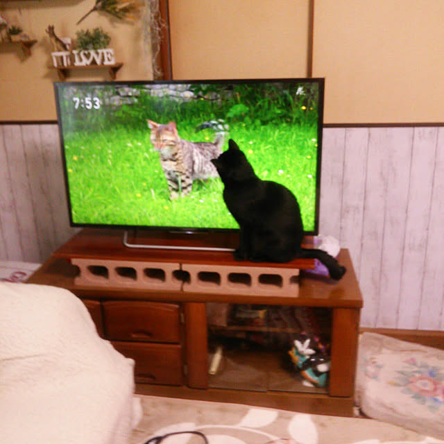 Tomopさんの実例写真