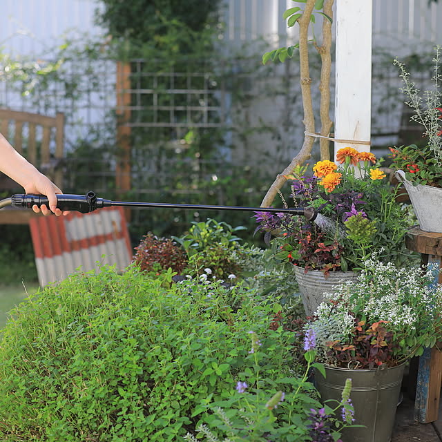 Royal_Gardeners_Clubさんの実例写真