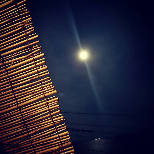 tonさんの実例写真