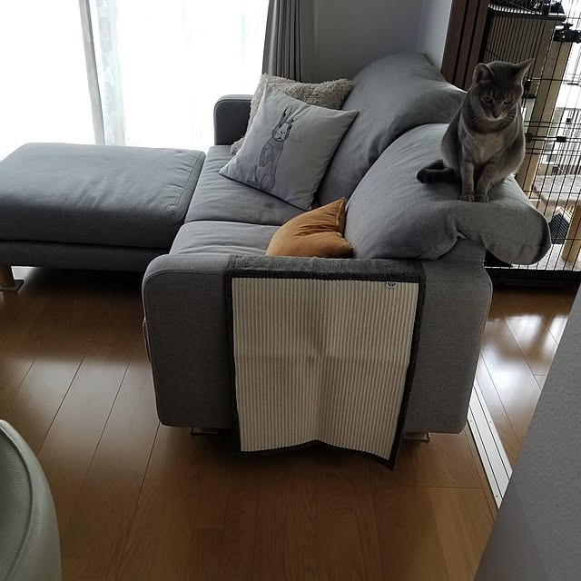 yukiさんの実例写真