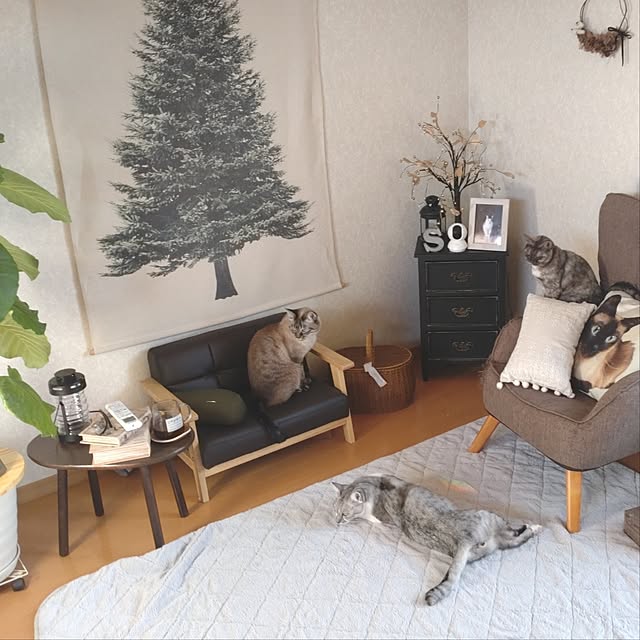 ciel-chambreさんの部屋