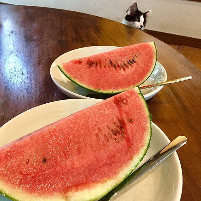 butachanさんの実例写真