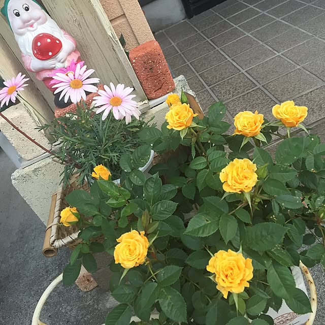 takakoさんの実例写真