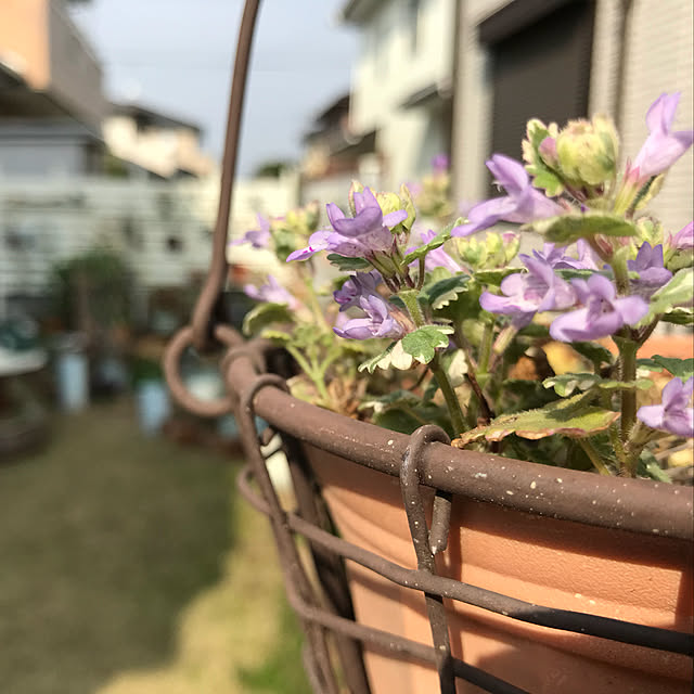 kokko3さんの実例写真