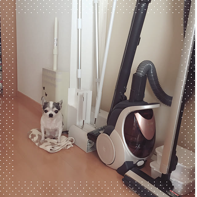 Emiさんの実例写真