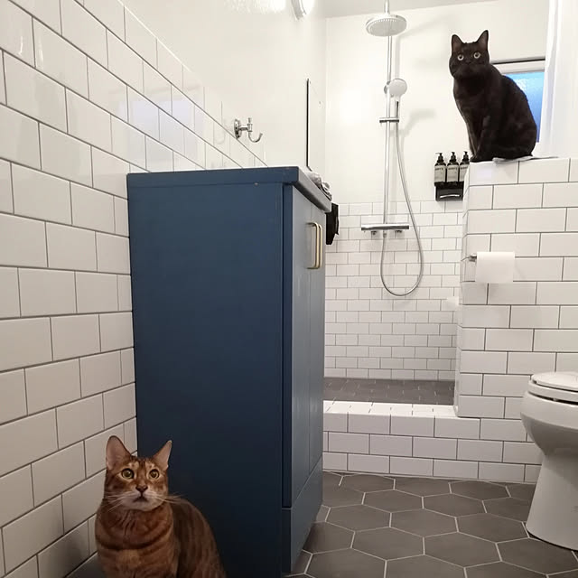 9p_Houseさんの実例写真
