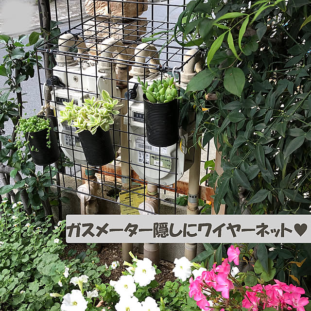 KirinPandaさんの実例写真
