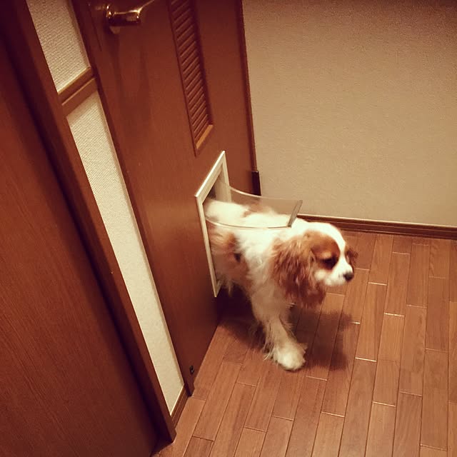 hanawoさんの実例写真