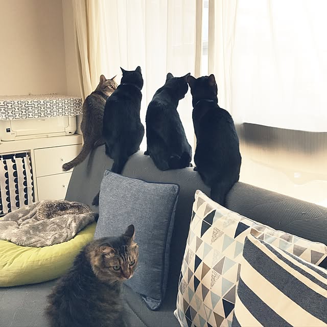 yuki0511さんの実例写真