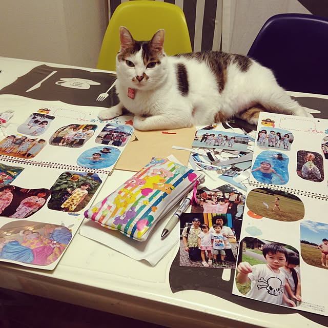 Sakiさんの実例写真
