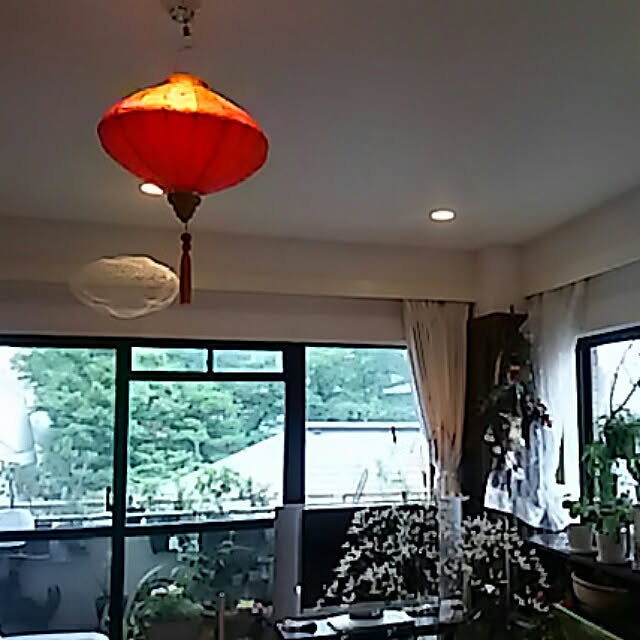 spinetailさんの実例写真