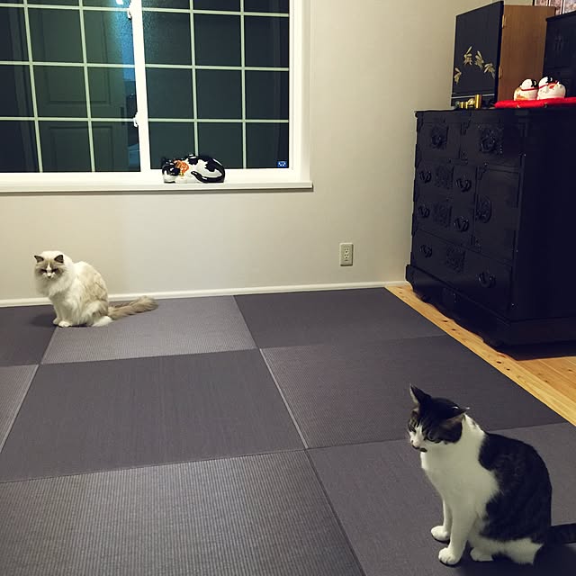 yuchiさんの実例写真