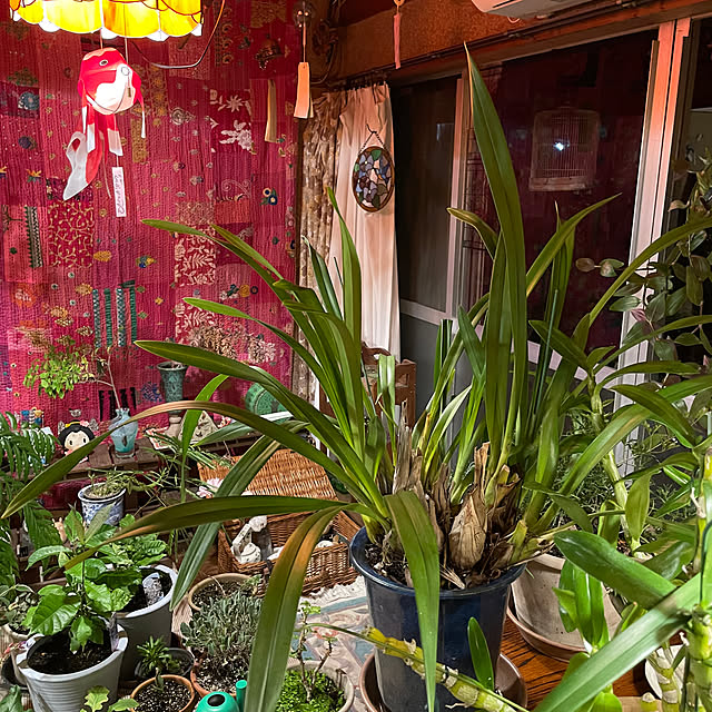 shin0719さんの部屋