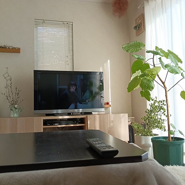 wanidaさんの実例写真