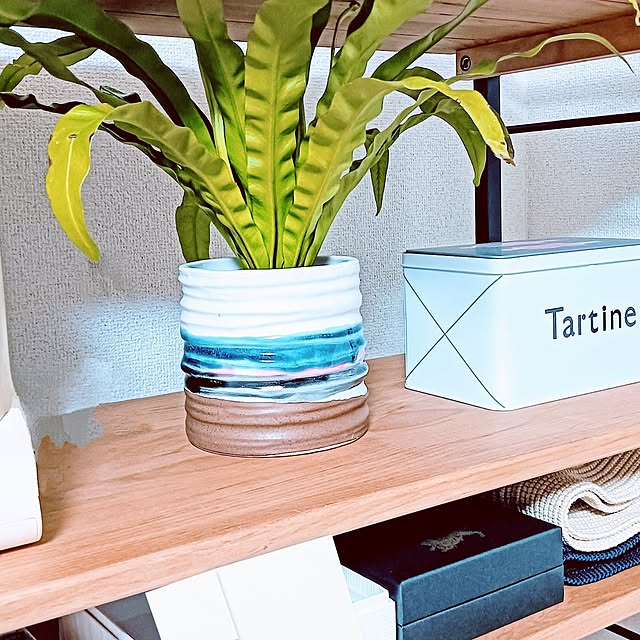 hanachanさんの部屋