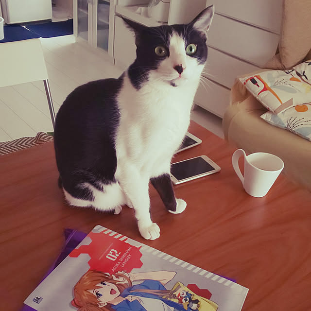 oseroさんの実例写真
