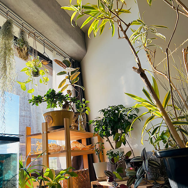 mima-slow-lifeさんの実例写真