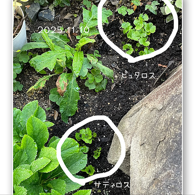 buchiさんの実例写真