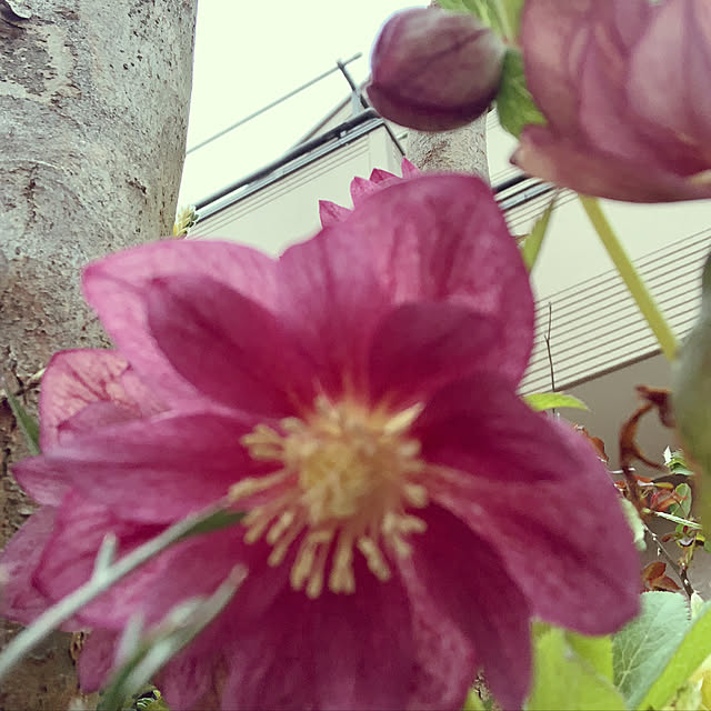 KYONさんの実例写真