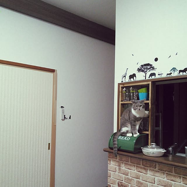 lovepandaさんの実例写真