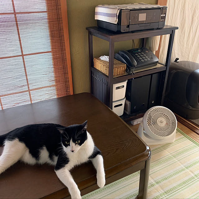 nanohanaさんの実例写真