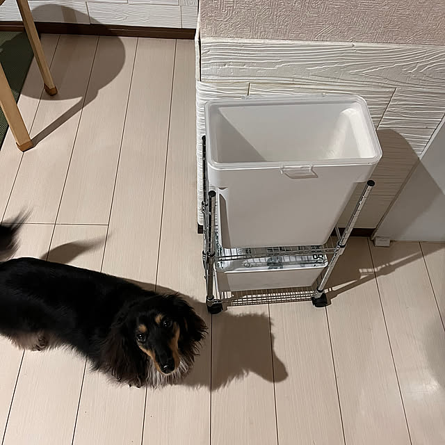 akipuさんの実例写真