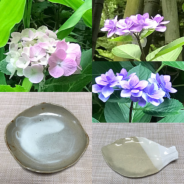 AKANEさんの実例写真