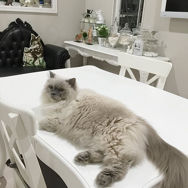 yuchiさんの実例写真