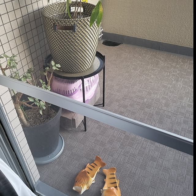 momoさんの実例写真